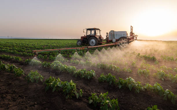 Best Commercial Pest Control Services  in Shadybrook, TX
